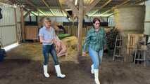 Slaughter day with Amely Pain which pig is today's turn