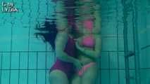 LESBIAN WATER GAMES