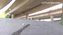064006 Kima Takes A Pee Under the Overpass