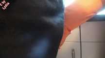 SPERM PIGGIES