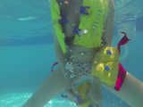 181 Summer, sun and pool fun