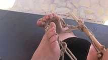 Afsana, captured and Hogtied...
